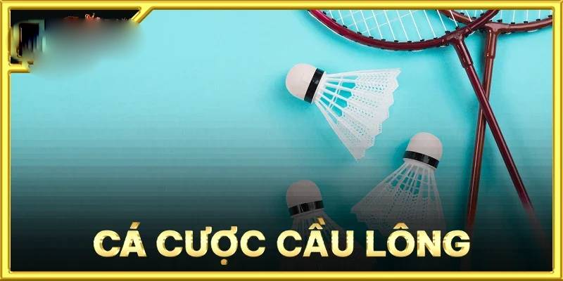 Cầu lông SanVip: Tìm hiểu luật và chiến thuật cược hay 4 Kèo cược badminton
